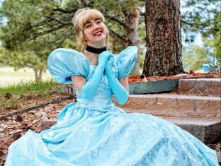 Cinderella gown